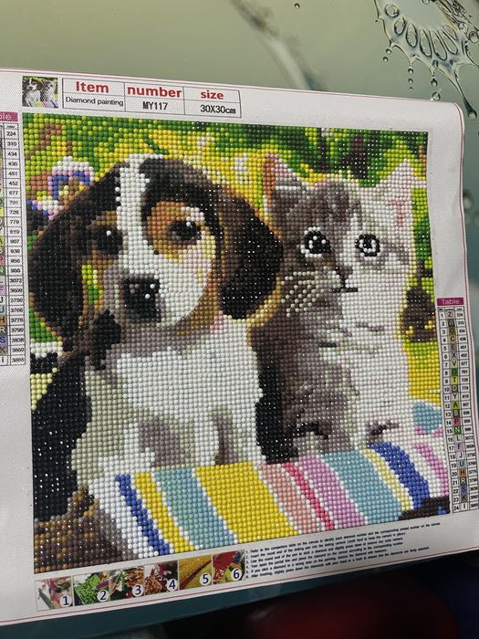 Goblen cu diamante (30x40)