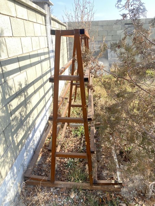 Пирамида на газель