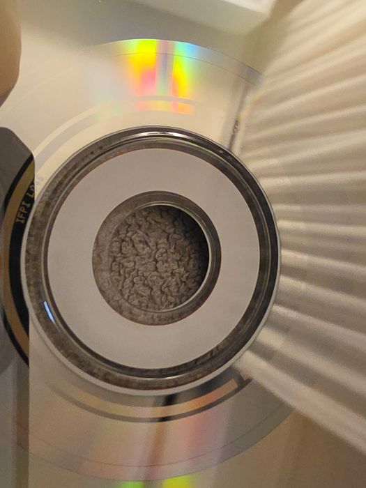 Resident evil: code Veronika DREAMCAST