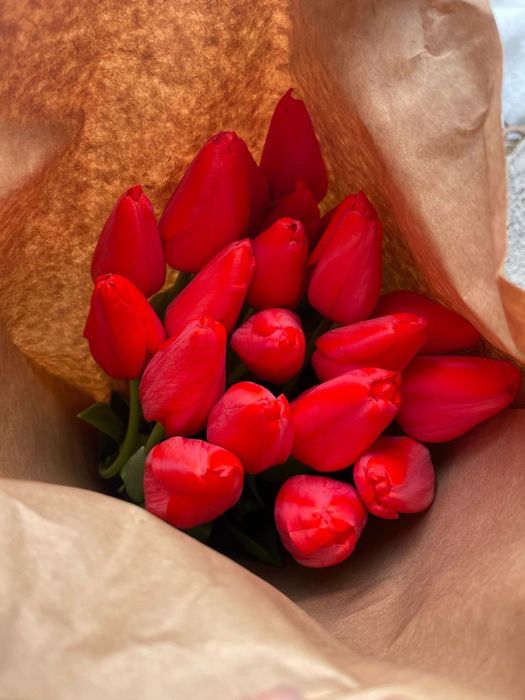 Крупные Тюльпаны