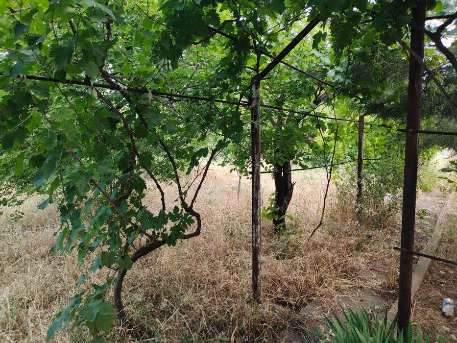 Продается Дача 6 соток