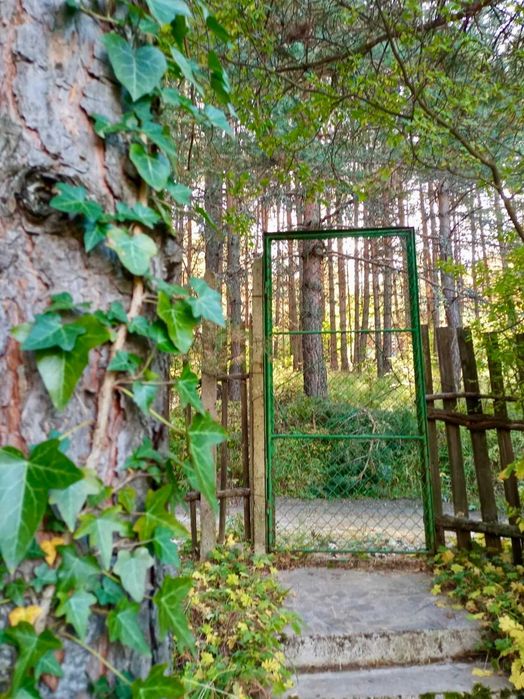 Продава се Парцел в с. Дедово, Област Пловдив - 543 кв.м за 53 €/кв.м - Снимка #3