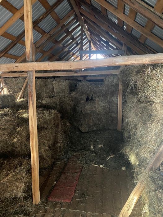 Vand baloti fan calitatea1 depozitati in conditii