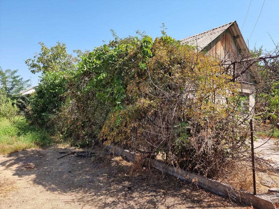 Недвижимость Земля