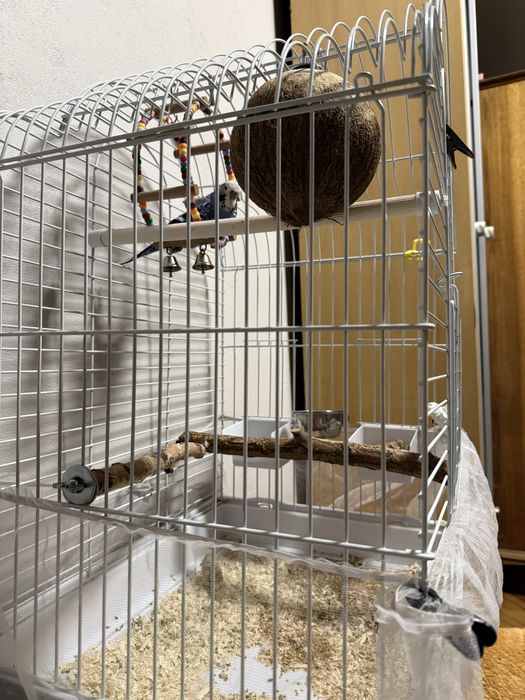 Попугай вместе с клеткой