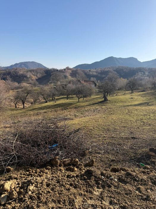 Teren in Bran, Sohodol, Utilitati si Parcare