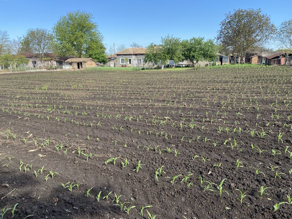 Продава се Парцел в с. Дъбовик, Област Добрич - 1 кв.м за 2091 €/кв.м - Снимка #4