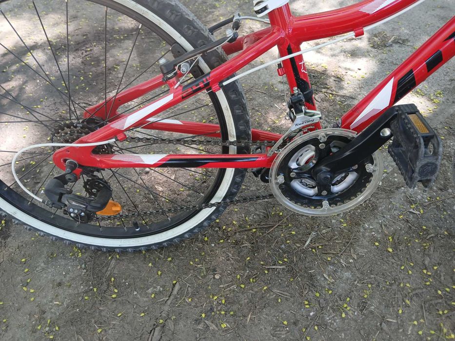 Drag Hardy 24''