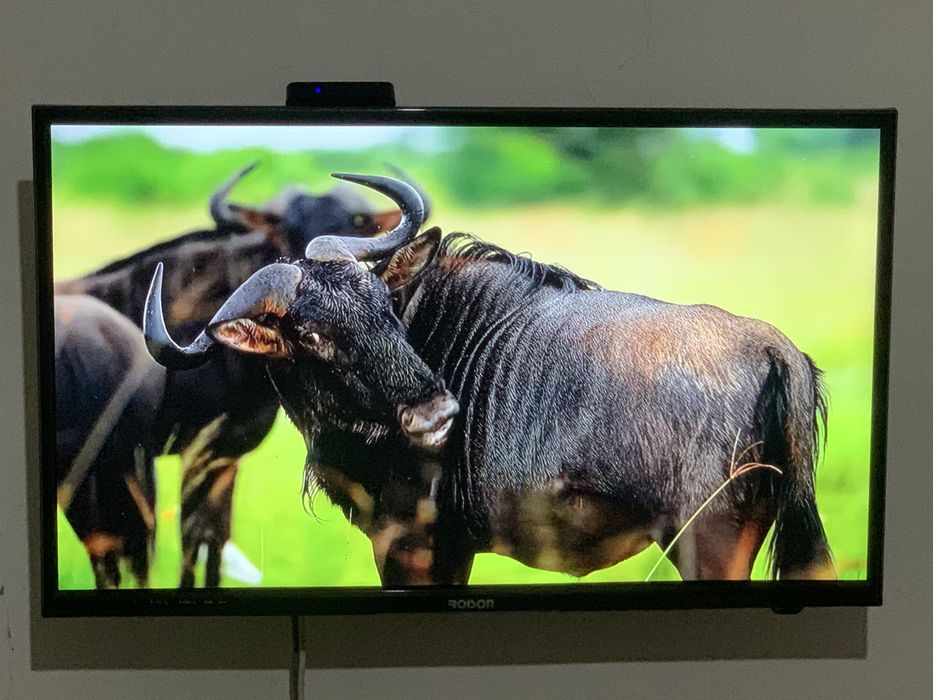 Телевизор Roison 32