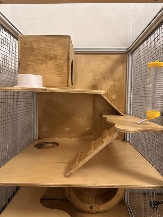 Витрина для грызунов