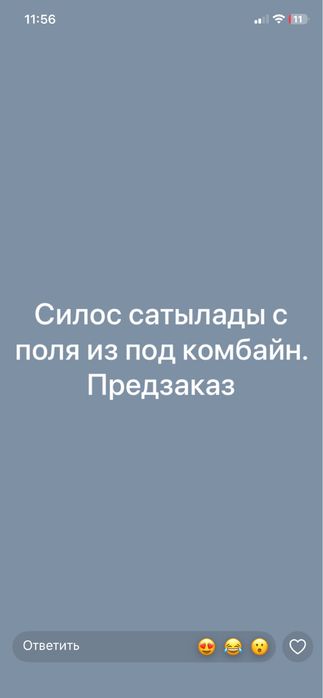 Кукуруза (силос)сатылады
