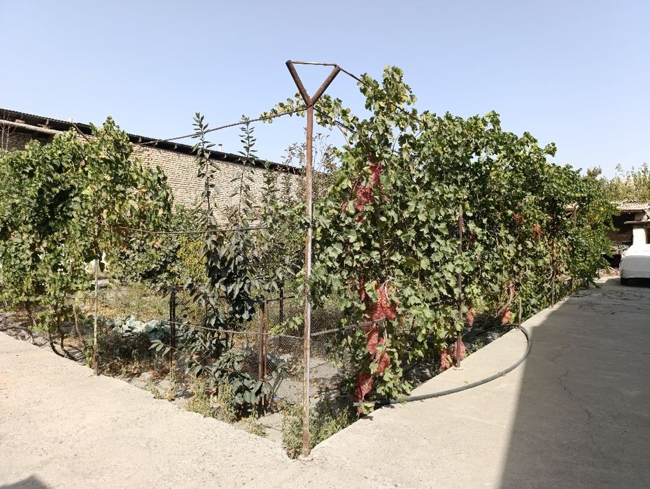 Жомбой центр! 6 соток ер (хусусий мулк)