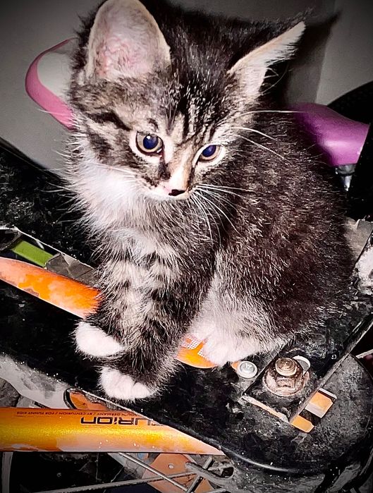 Воспитанный малыш