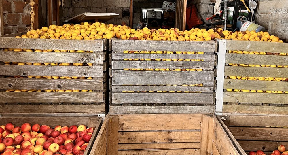 Vand mere Golden pentru rachiu!