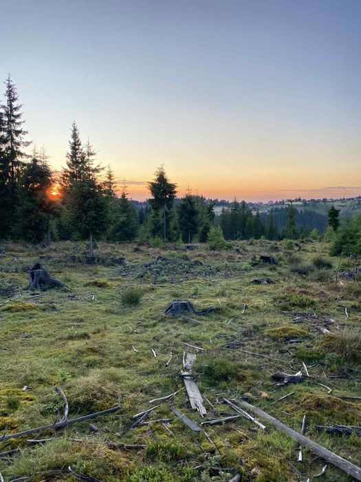 teren la munte 1000mp