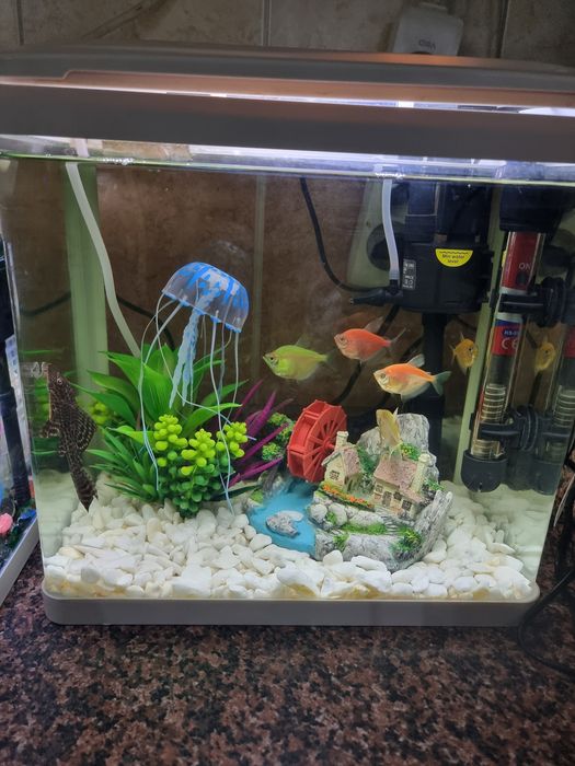 Продам два аквариума