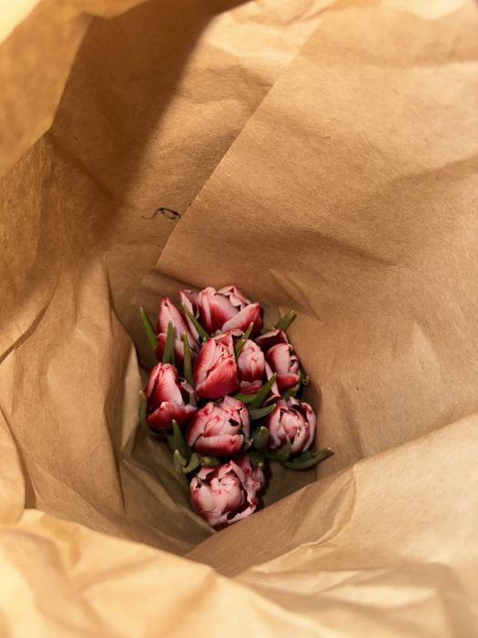 Продаем тюльпанчики к 14 февраля оптом