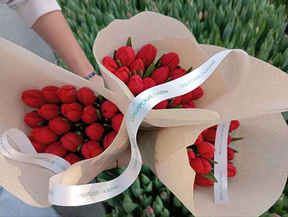 Тюльпаны в розницу от 550тг.