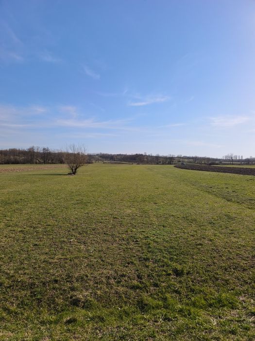 Teren intravilan ,20 arii , Chechiș ,la 12 km de Baia Mare