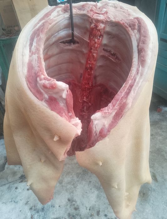 Свинина домашняя