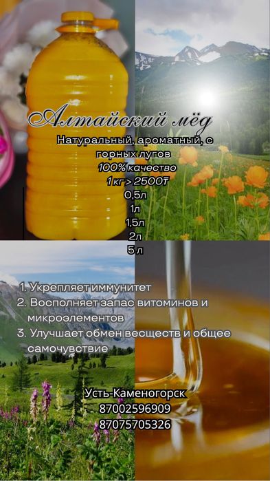 Мёд Алтайский горный
