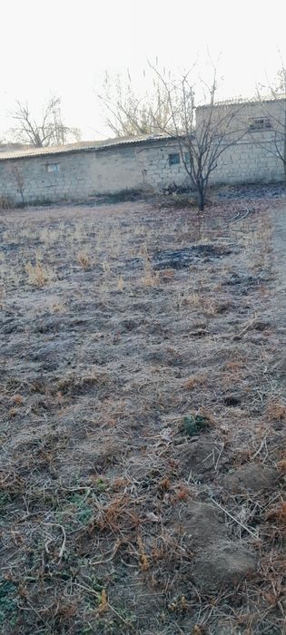 Курук ер сотилади. 5 соток.