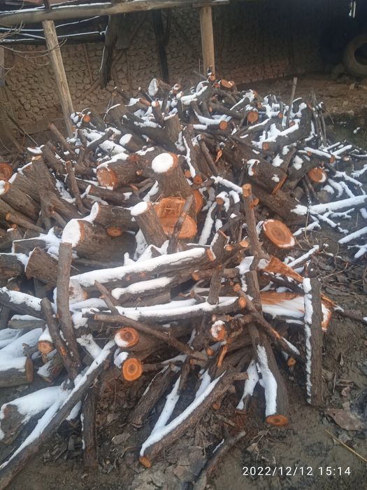 Oʻrik oʻtin sotiladi kelishilgan holda