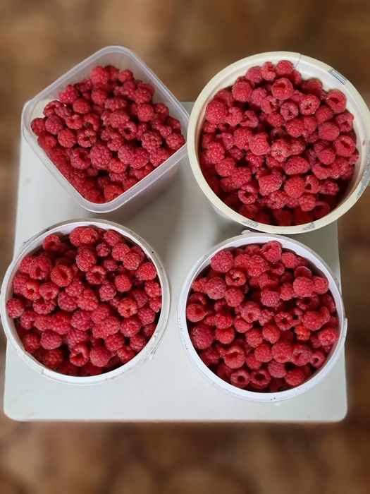 Продам дачный участок(дачу)!