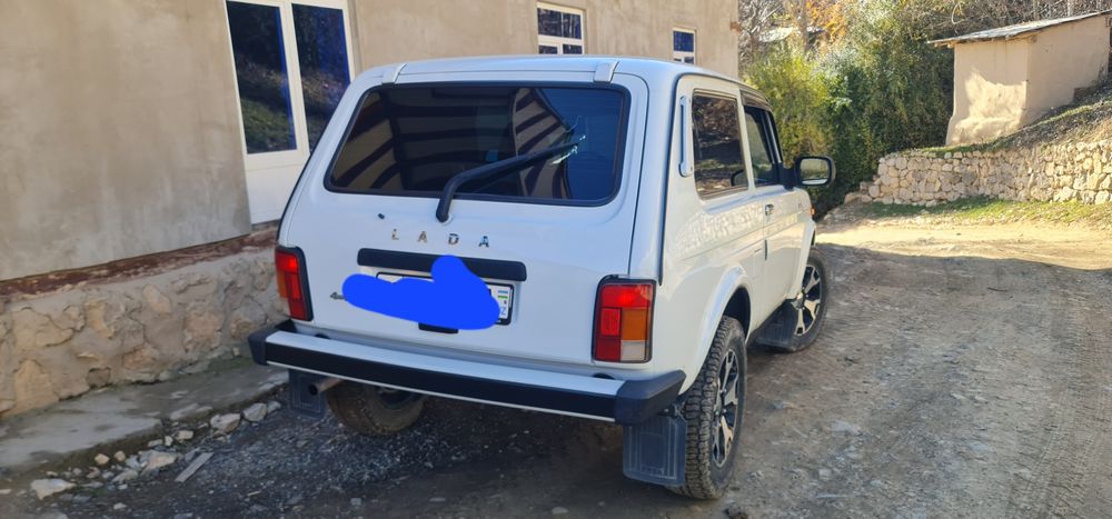 Moshin holati zur 1 qul minilgan  kraska tozza