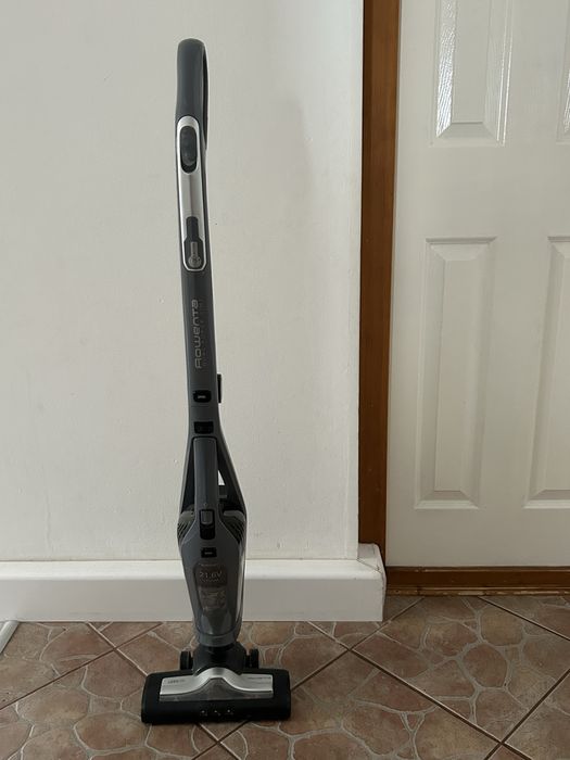 Aspirator vertical Rowenta