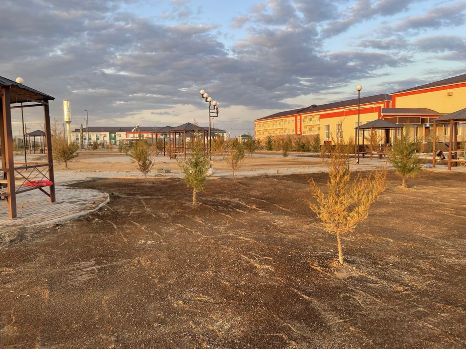 Газон,автополив,полив