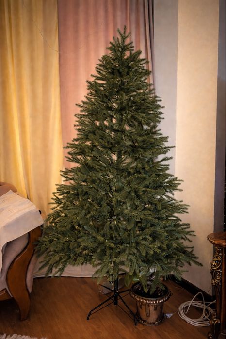В продаже новогодняя елка