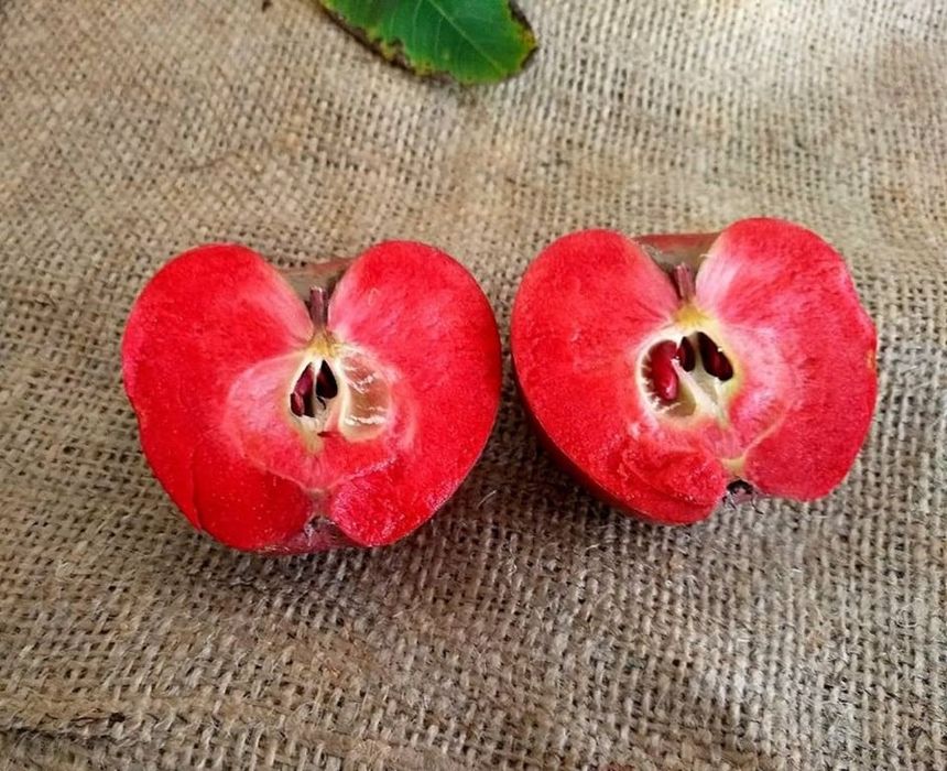 Mar red love                .