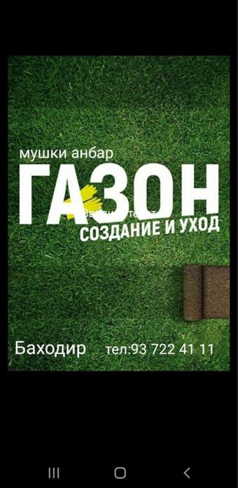 Оригинал газон уруглари спорт мастер