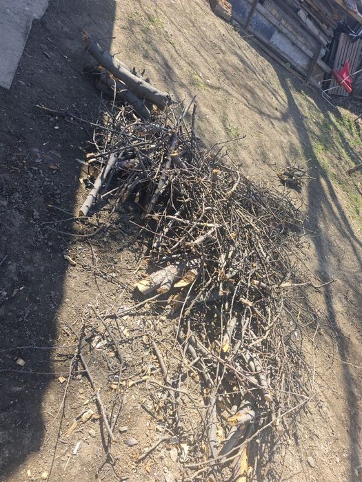 Отын фанер одам даром