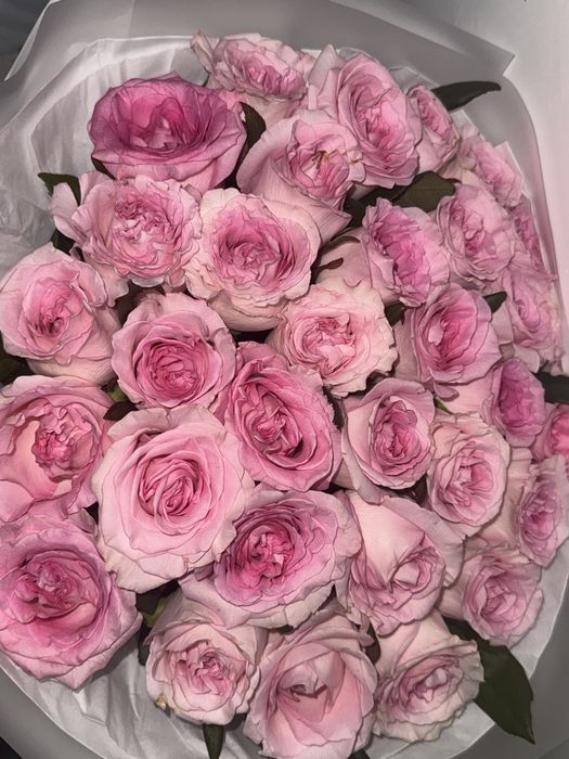 35шт голландские розы