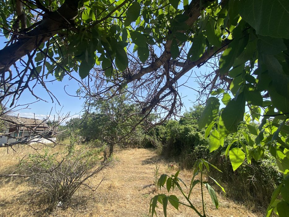 Продается дача в чалдоле