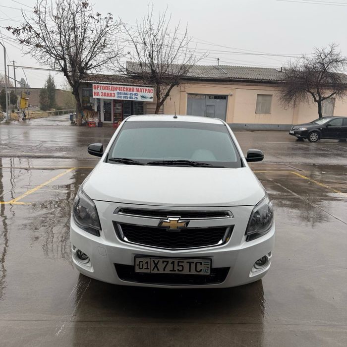 Cobalt Midnight 2025