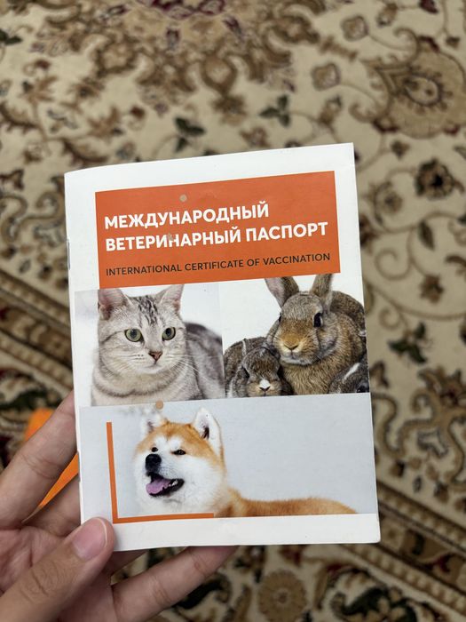 Продам восточно-европейскую овчарку