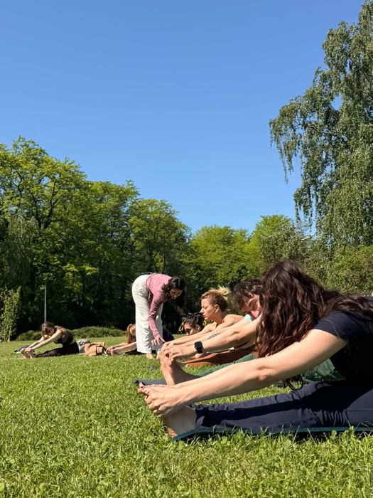 Cursuri yoga (clase de grup / private)