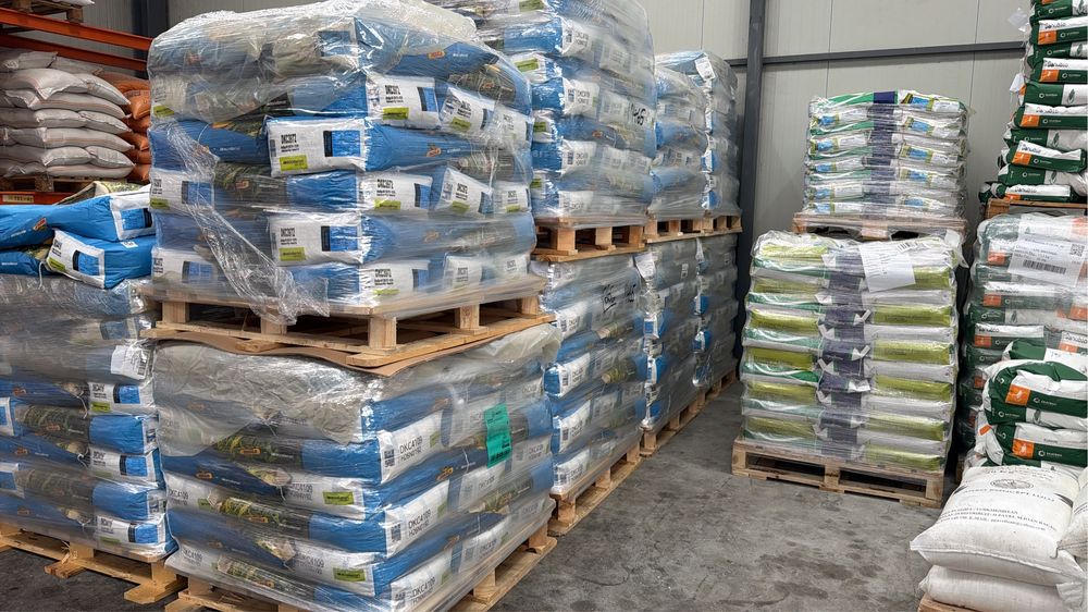 Seminte Porumb si Floare