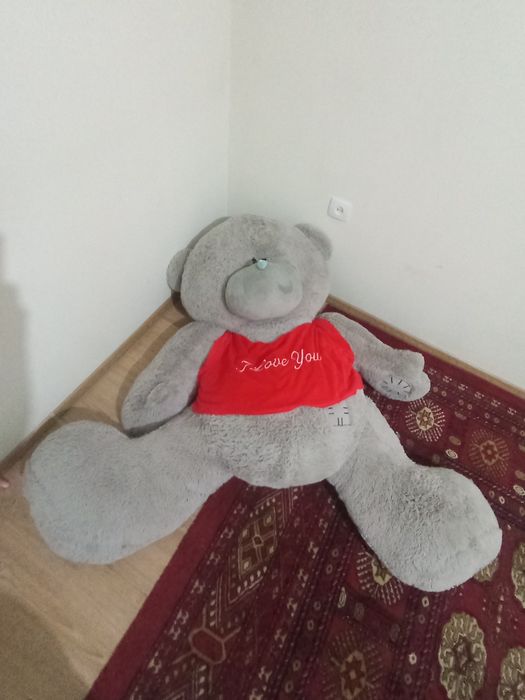 TEDDY  новый куплен просто лежит не нужный