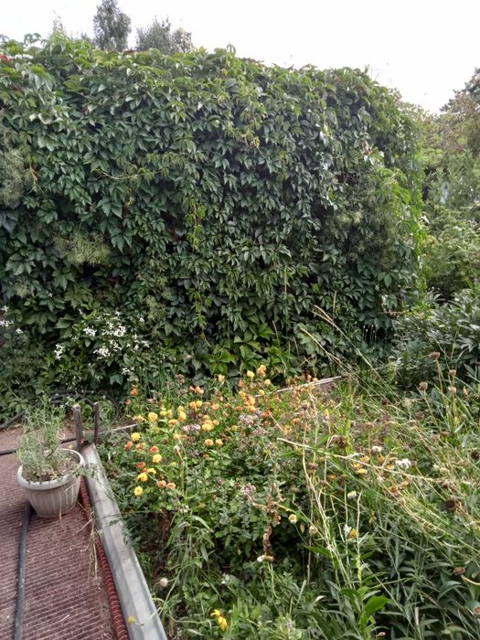 Продам сад/огород по 18 маршруту