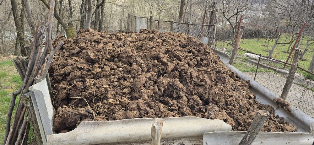 Oferta!De vânzare!!Gunoi de vaca!!