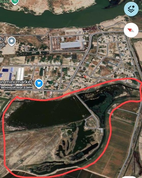 Рыбное хозяйство. Скотоводство