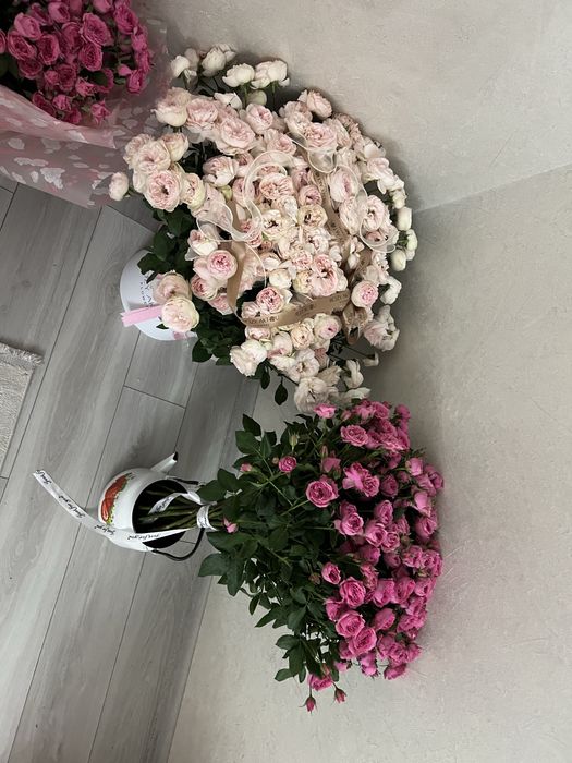 Цветы , б/у , не дорого
