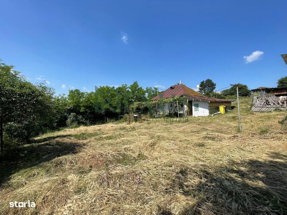 Casă bătrânească cu teren de 3.200 mp în Hertioana de Jos, jud.Bacău