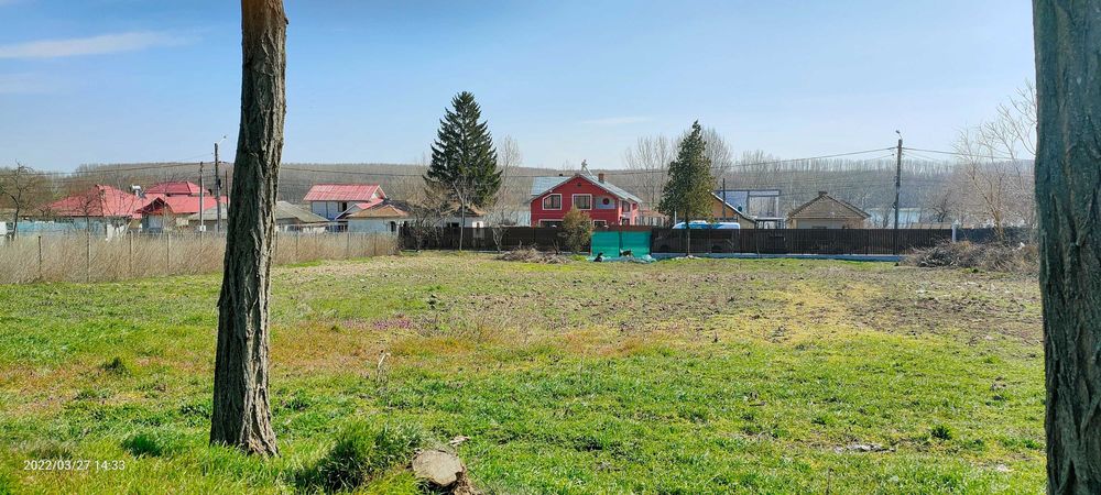 Teren  de inchiriat 2200m ,Com Borcea (CL), term lung-INTRAVILAN