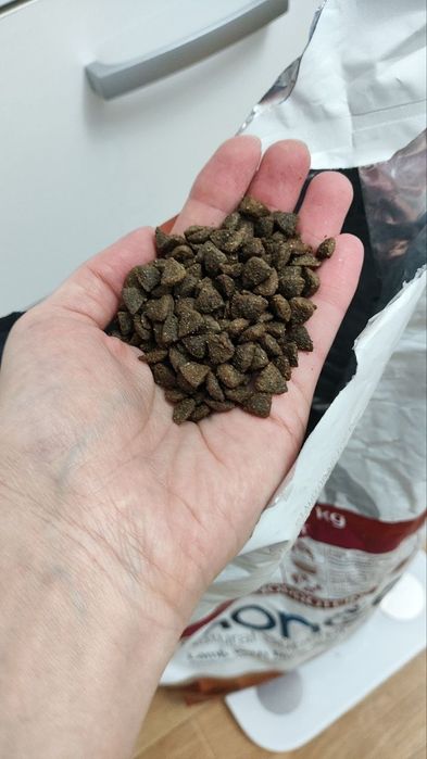 Корм Monge для собак мелких пород