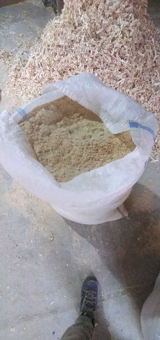 Vand rumegus si talas uscat si curat-DOLJ